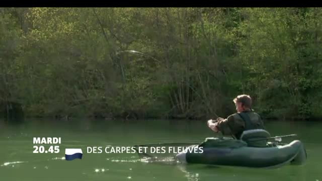 Des Carpes et des fleuves - 01/08/17
