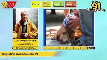 ฮีตสโตรก โรคอันตราย ที่มากับความร้อน EP.2 : FM91 คลินิกสัตว์เลี้ยง : 13 มีนาคม 2565