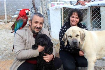 Bu aile çok renkli... "Onlarca farklı türden oluşan 30'dan fazla hayvana ev sahipliği yapıyorlar