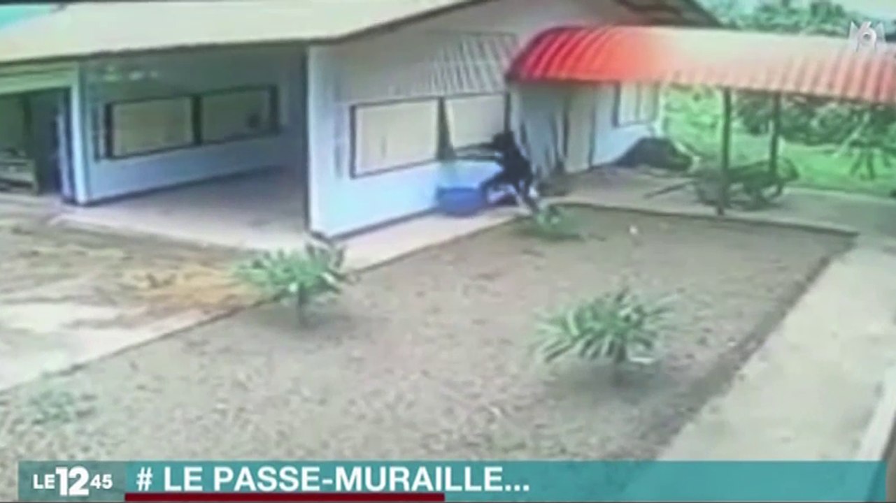 Le zapping du 04/07 : Le cambrioleur le plus stupide du monde