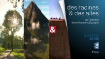 Des racines et des ailes -  Les Pyrénées, entre France et Espagne - 30/07/15