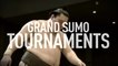 Grand Sumo Tournament - l'Equipe