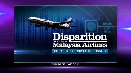Disparition du vol de la Malaysia Airlines : que s'est-il vraiment passé?