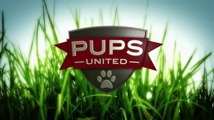Pups United - Supporters de choc - VO