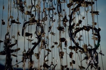 Teaser arbre American Horror Story saison 6