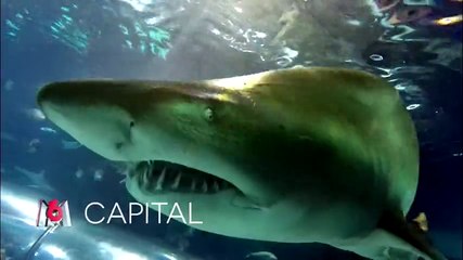 Capital - Parc d'attraction a sensations fortes - 14 08 16