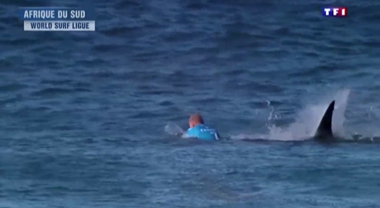 Le zapping du 20/07 : Un surfeur se fait attaquer par un requin lors d’une compétition