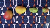 La mangue, itinéraire d'un fruit gâté (france 5) la bande-annonce
