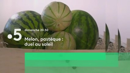 Melon, pastèque  duel au soleil - 27 05 18