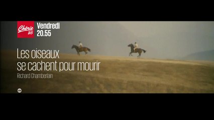 Les oiseaux se cachent pour mourir - 12/08/16