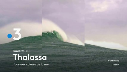 Thalassa (France 3) Face aux colères de la mer