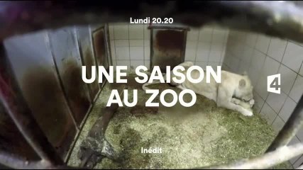 Une Saison au zoo - Saison 7 - France 4