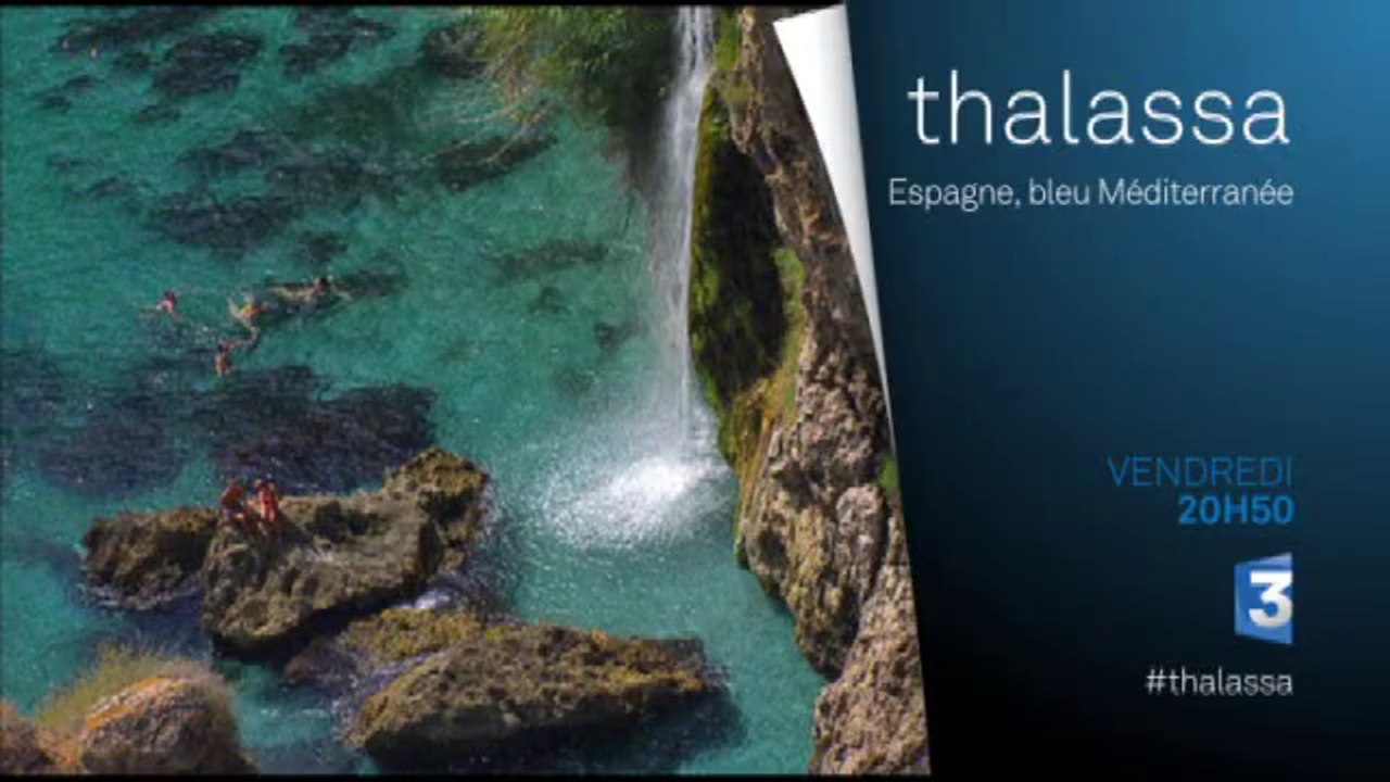 Thalassa - 17/07/15