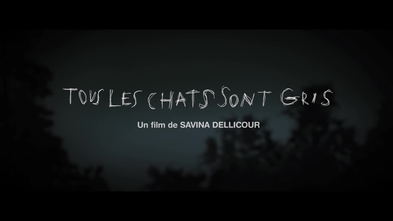 Tous les chats sont gris - VF