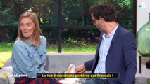 La quotidienne (France 5) : Un chien troue la jupe de l'animatrice
