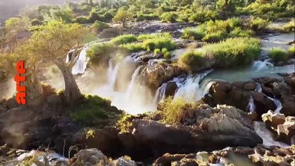 Dans le secret des sources - Floride, les sources de cristal - 26 06 17