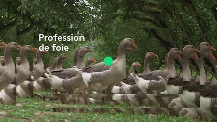 Echappées Belles - Périgord - france 5 - 12 05 18