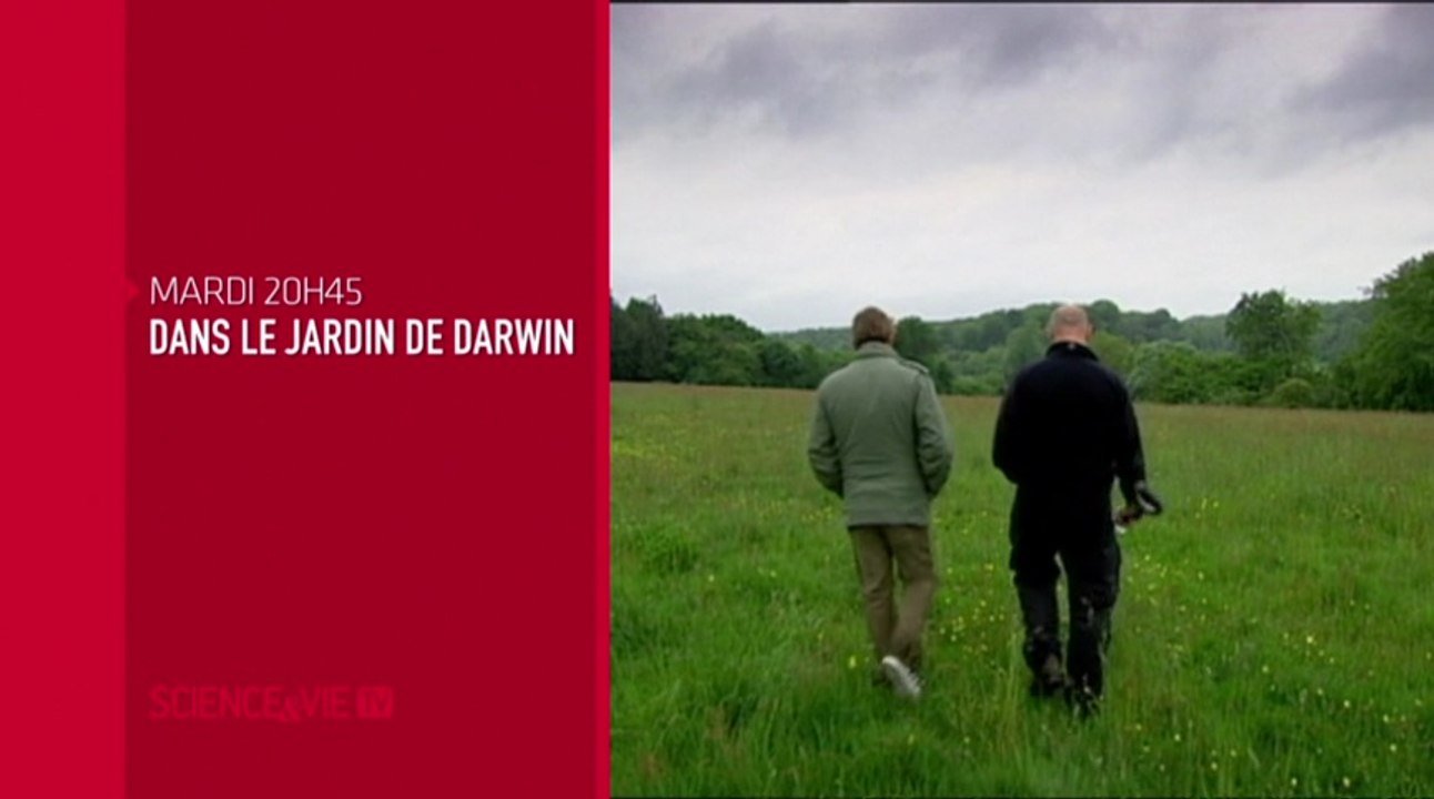 Dans le Jardin de Darwin - chaque mardi
