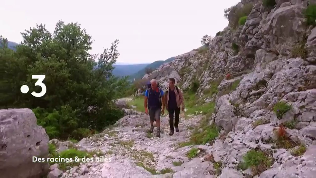 Des racines et des ailes (France 3) : Les trésors de la route Napoléon