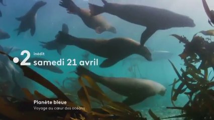 Planète bleue 2 (france 2) bande-annonce