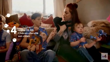 Chacun cherche son chien - ep2 - France 4 - 12 02 19