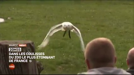 Zoo de Pal - Dans les coulisses du zoo le plus étonnant de France - 27 07 16
