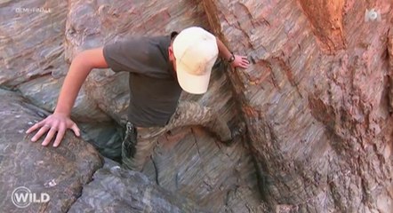 Zapping du 17/04 : La chute impressionnante d’un candidat de Wild dans un ravin