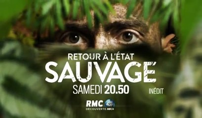 Retour à l'Etat sauvage - 10/06/17