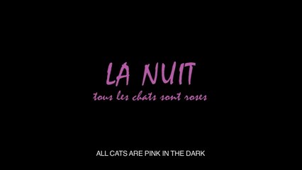 La Nuit tous les chats sont roses - VF