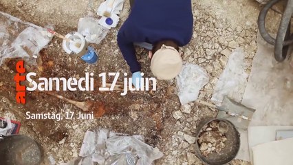 L'énigme de la tombe celte - arte - 17 06 17