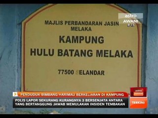 Penduduk bimbang harimau berkeliaran di kampung
