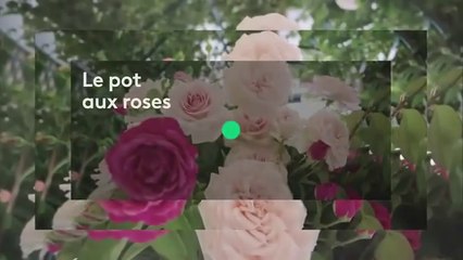 L'important, c'est la rose - FRANCE 5