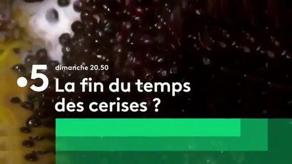 La fin du temps des cerises  -  FRANCE 5 - 29 04 18