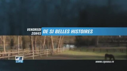 De si belles histoires - Equidia Life