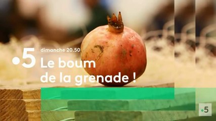 Le boum de la grenade - france 5 - 03 02 19