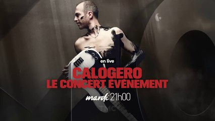 Concert de Calogero (TMC) Liberté Chérie Tour