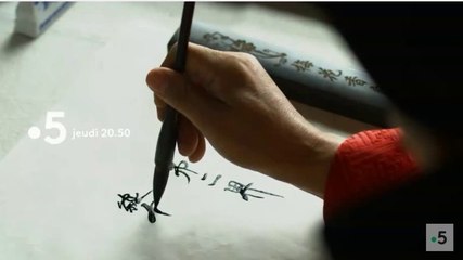 La route de la soie, un trait entre deux mondes (France 5)