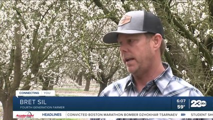 Almond Blossoms return to Kern County