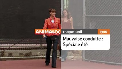 Mauvaise conduite : spéciale été