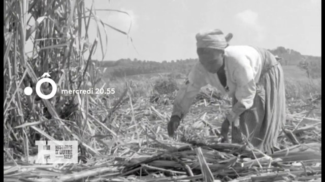 Histoire d'Outre-mer - Nos chaînes invisibles, le code noir(e) - 07 03 18 - france O