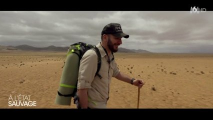 A l'état sauvage - Michaël Youn - _j'ai survécu à Zemmour et Télérama