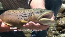 Carnet de pêche himalayen - 07/07/16