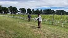 Drones used at Clonakilla