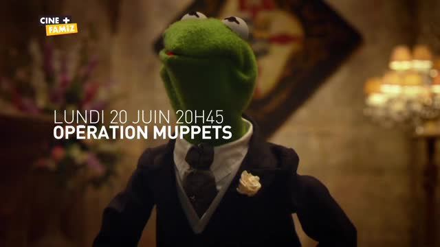 Opération Muppets - 20/06/16