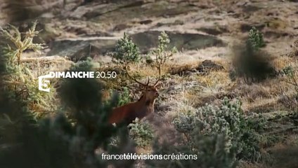 Parc Nationaux Quand la nature fait recette - 28 05 17