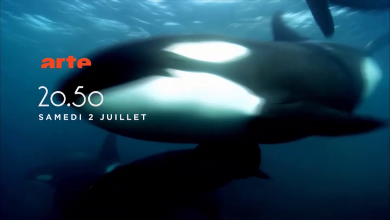 L'orque tueuse_VF_arte