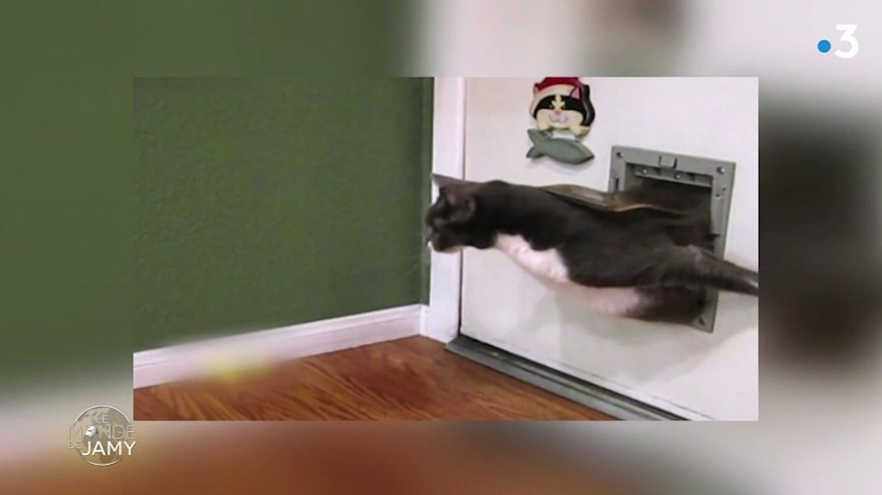 Zapping : Best of malaises 2018