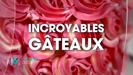 Incroyables gateaux - M6