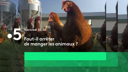 Faut-il arrêter de manger les animaux - france 5 - 28 02 18