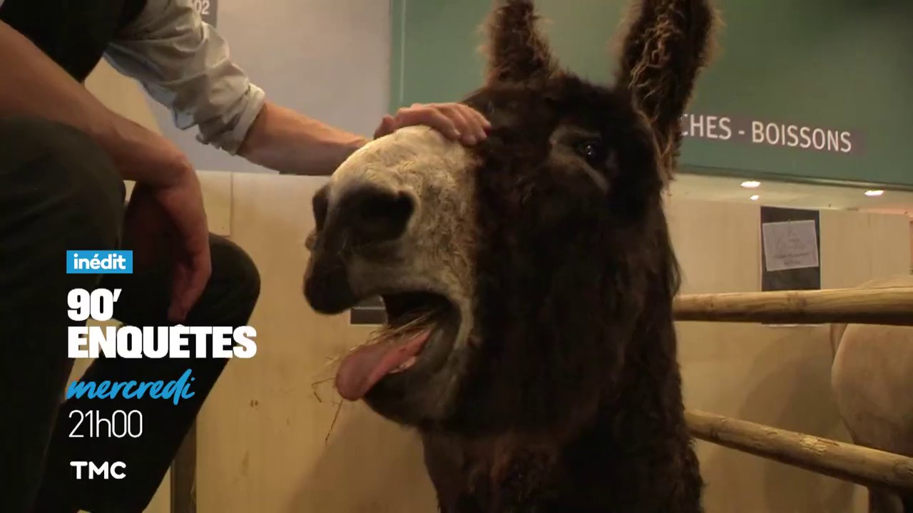 90 Enquêtes  - Salon de l'agriculture   -TMC - 21 02 18